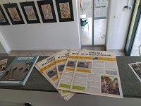 Veseli dan prostovoljstva 2020 8